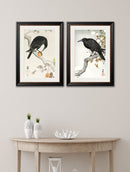 Quality Glass Fronted Framed Print, c.1910 Crows - Ohara Koson Framed Wall Art PictureVintage Frog T/AFramed Print