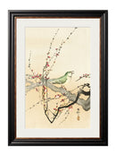 Quality Glass Fronted Framed Print, c.1910 Garden Birds - Ohara Koson Framed Wall Art PictureVintage Frog T/AFramed Print