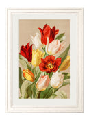 Quality Glass Fronted Framed Print, Floral Group Framed Wall Art PictureVintage Frog T/AFramed Print