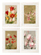 Quality Glass Fronted Framed Print, Floral Group Framed Wall Art PictureVintage Frog T/AFramed Print