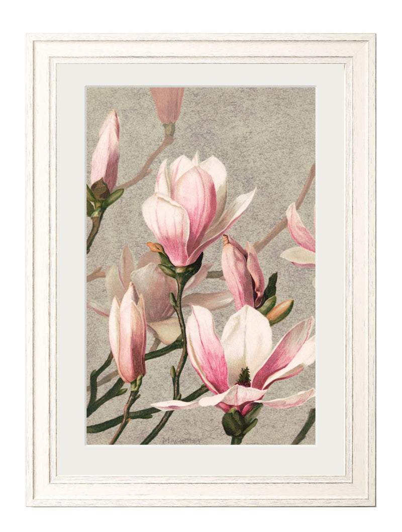 Quality Glass Fronted Framed Print, Floral Group Framed Wall Art PictureVintage Frog T/AFramed Print