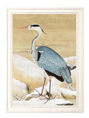 Quality Glass Fronted Framed Print, Heron Set of 2 Prints - Ram Das Framed Wall Art PictureVintage Frog T/AFramed Print