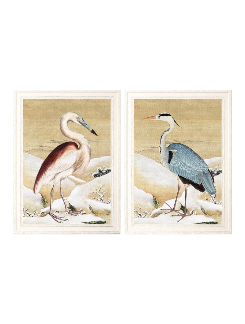 Quality Glass Fronted Framed Print, Heron Set of 2 Prints - Ram Das Framed Wall Art PictureVintage Frog T/AFramed Print