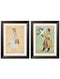 Quality Glass Fronted Framed Print, Mughals Framed Wall Art PictureVintage Frog T/AFramed Print