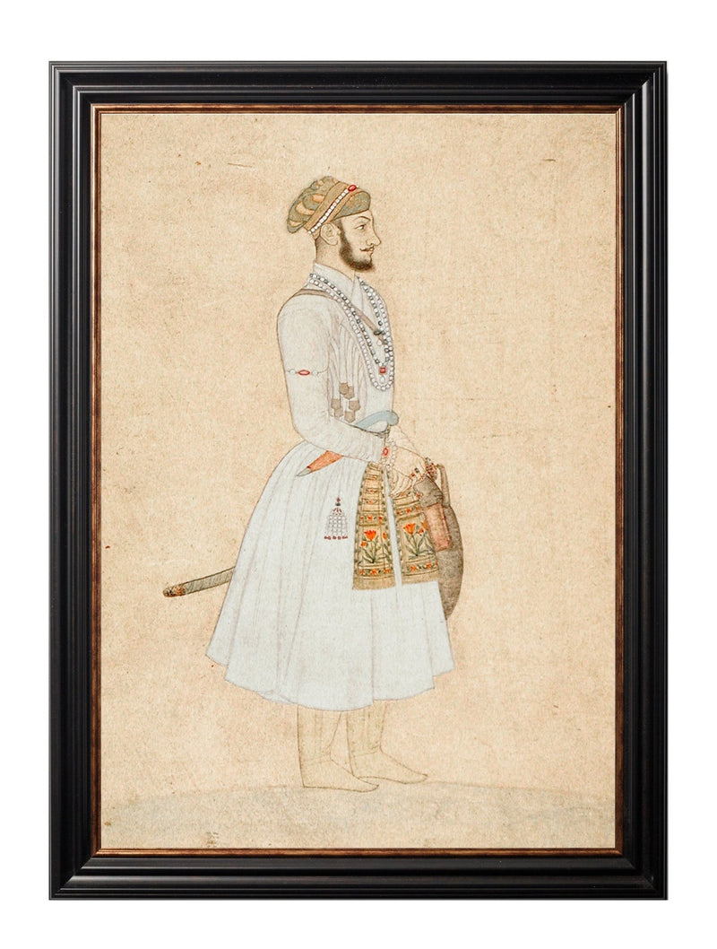 Quality Glass Fronted Framed Print, Mughals Framed Wall Art PictureVintage Frog T/AFramed Print