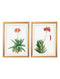Quality Glass Fronted Framed Print, Red Floral Illustrations Set of 2 Prints Framed Wall Art PictureVintage Frog T/AFramed Print