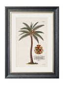 Quality Glass Fronted Framed Print, Studies of Palms Framed Wall Art PictureVintage Frog T/AFramed Print