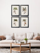 Quality Glass Fronted Framed Print, Studies of Palms Framed Wall Art PictureVintage Frog T/AFramed Print