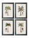 Quality Glass Fronted Framed Print, Studies of Palms Framed Wall Art PictureVintage Frog T/AFramed Print
