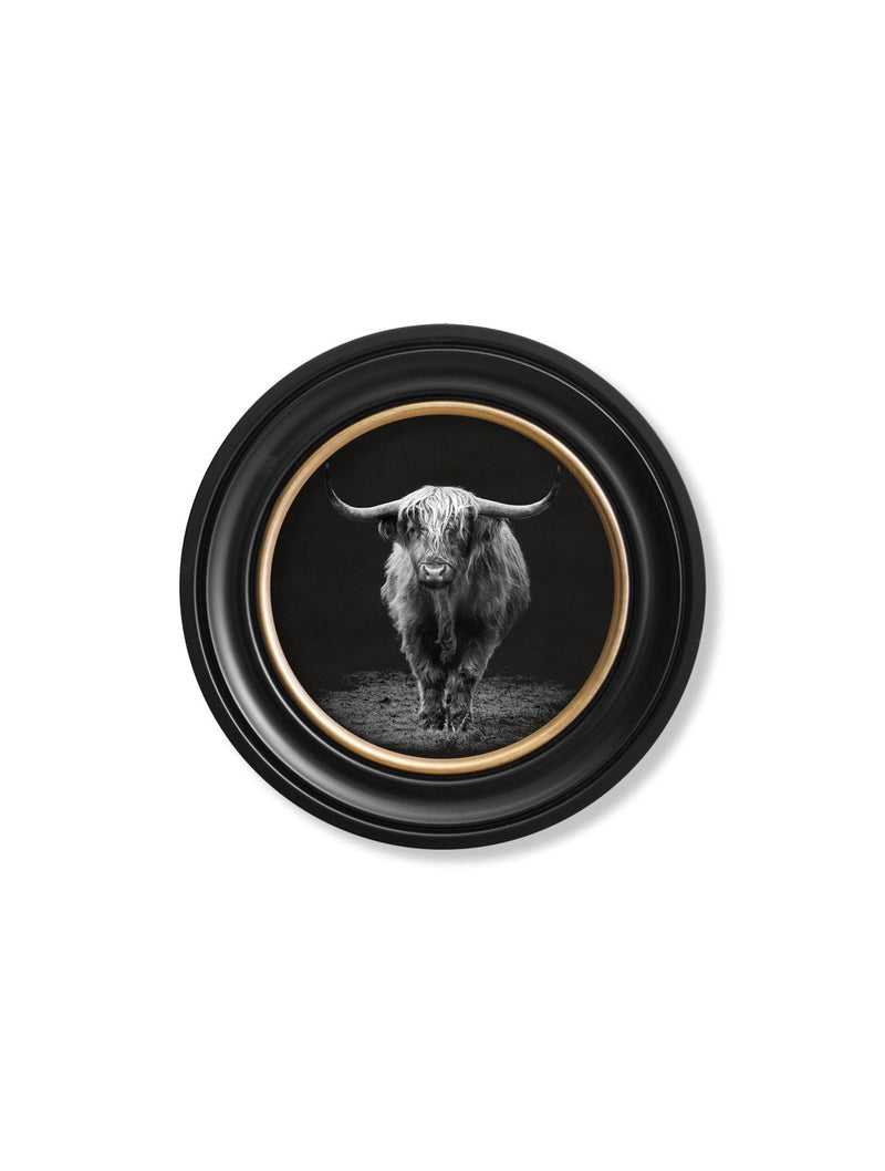 Quality Glass Fronted Framed Print, Wildlife Photography - Highland Cow - Round Frame Framed Wall Art PictureVintage Frog T/AFramed Print