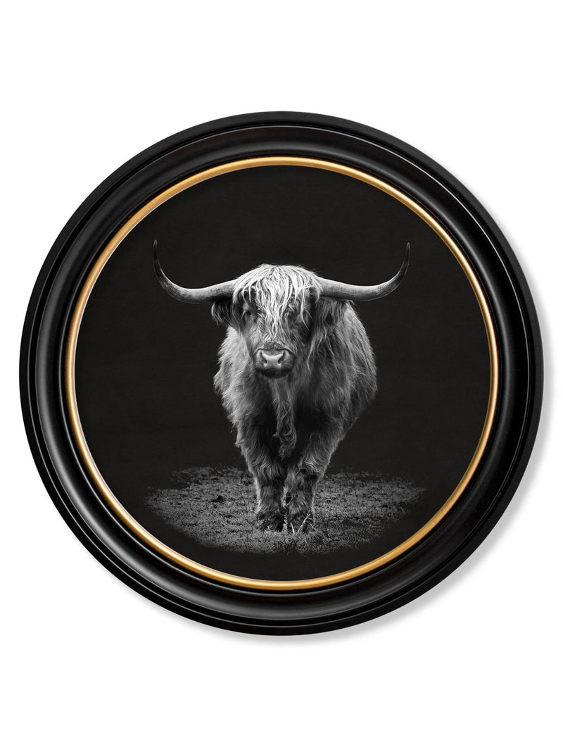 Quality Glass Fronted Framed Print, Wildlife Photography - Highland Cow - Round Frame Framed Wall Art PictureVintage Frog T/AFramed Print