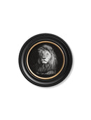 Quality Glass Fronted Framed Print, Wildlife Photography - Lion - Round Frame Framed Wall Art PictureVintage Frog T/AFramed Print