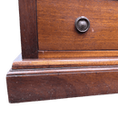 Vintage Elegant Narrow Open Bookcase With DrawerVintage Frog