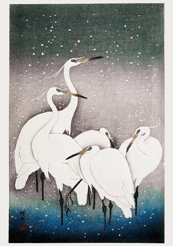 5 White Egrets In The Snow, Japanese Illustration by Koson Print On Canvas, Wall Hanging Decor PictureVintage FrogPictures & Prints