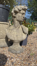 David Head Bust - Stone Garden Decor