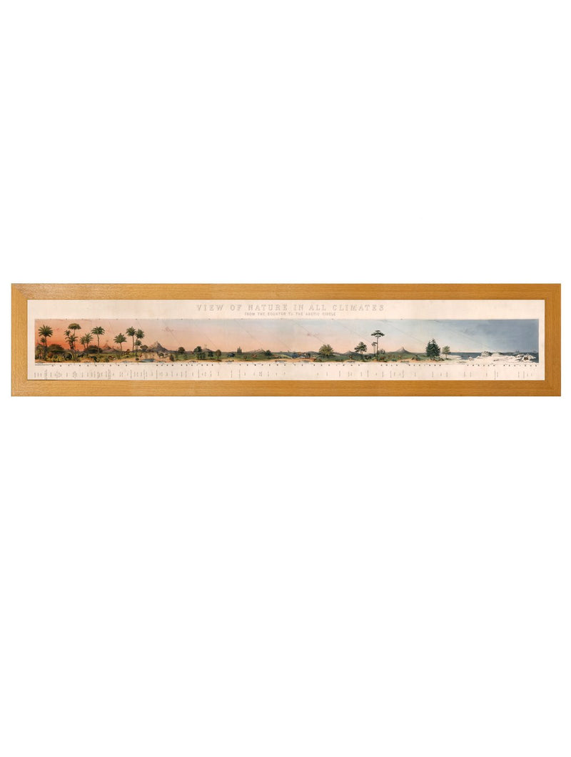 Oak framed Vintage Style Framed View of Nature in All Climates Print - Equator to the Arctic Circle Very Long Panoramic Scene 