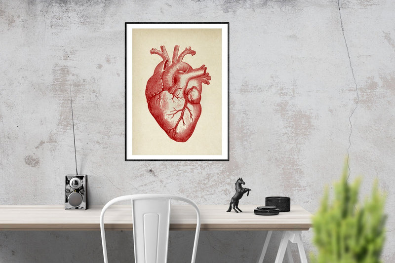 Anatomical Human Heart Vintage Poster Illustration Print On Canvas, Wall Hanging Decor PictureVintage FrogPictures & Prints