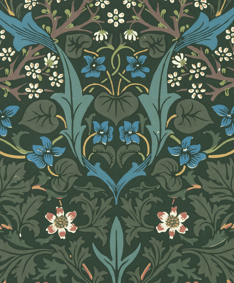 Blackthorn - William Morris Pattern Artwork Print. Framed Wall Art PictureVintage Frog T/APictures & Prints