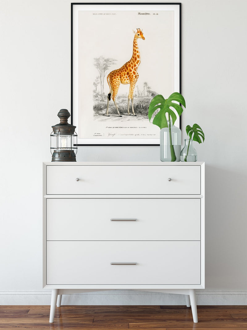 Classic Giraffe Illustration Print On Canvas, Wall Hanging Decor Picture.Vintage FrogPictures & Prints