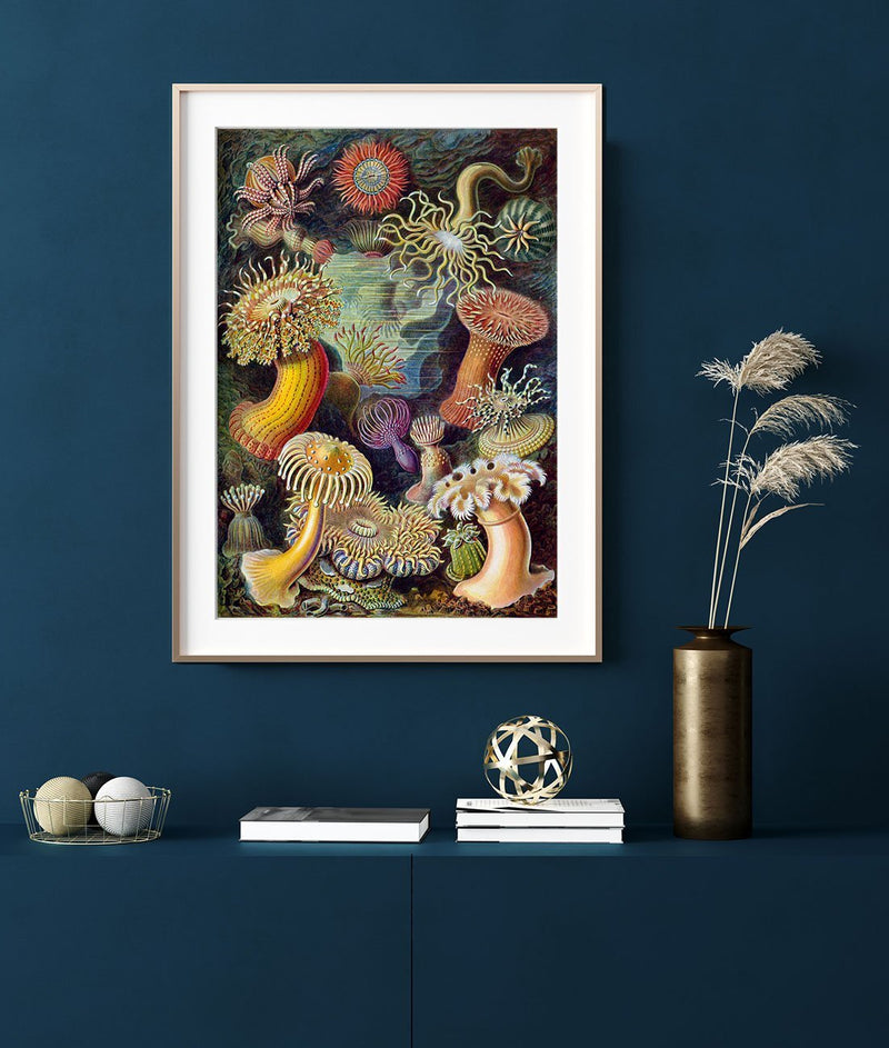 Coral Reef Forest Illustration by Ernst Haeckel Print On Canvas, Wall Hanging Decor PictureVintage FrogPictures & Prints