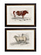 Cow and Sheep Farmyard Animal Framed Print Pictures - Referenced From Antique 1837 IllustrationsVintage Frog T/APictures & Prints