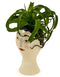 Doodle Ladies Face Vase Plant PotVintage FrogBrand New