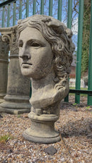 Dionysis Head Bust - Stone Garden Decor