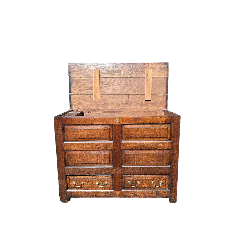 Early 19th Century Antique Tall Oak Mule Chest, Blanket Chest With Candle BoxVintage Frog