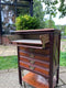 Early 20th Century Sheet Music Drawer ChestVintage Frog