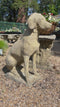 Pair of Hunting Dog Statues - Stone Garden Decor