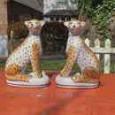 Pair of Ceramic Sitting Leopard Figures with Brown Tints