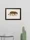 Framed 1836 Jaguar Print - Referenced from an 1800s Hand-Coloured PrintVintage FrogPictures & Prints