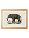 Framed 1846 Indian Elephant Print - Referenced from an 1800s Hand-Coloured PrintVintage FrogPictures & Prints
