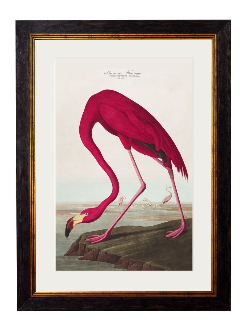 Oversize Prints I Pink Flamingo I Round Black Frame IPrints I
