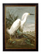 Framed Audubon's Heron Prints - Referenced From 1838 Hand Coloured Aubudon PrintsVintage Frog T/APictures & Prints
