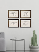 Framed Studies of Anatomical Skeletons - Referenced From Collections of Skeleton Engravings From the 1800sVintage FrogPictures & Prints