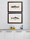 Framed Studies of Salmon Prints - Referenced From Beautiful French 1700s PrintsVintage FrogPictures & Prints