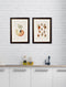 Framed Studies of Shells Prints - Referenced From Beautifully Illustrated Nautilus Sea ShellsVintage FrogPictures & Prints