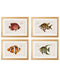 Framed Studies of Tropical Fish - Referenced From Beautiful French 1800s PrintsVintage FrogPictures & Prints