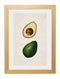 Framed Study Of Avocados Print - Referenced From Watercolour Paintings of American Pomological StudiesVintage FrogPictures & Prints