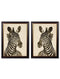 Framed Zebra Illustrations - Referenced From 1900s PrintsVintage Frog T/APictures & Prints