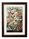 Haeckel Hummingbirds Print - Referenced From Ernst Haeckels Kunstformen der Natur (1904)Vintage Frog T/APictures & Prints