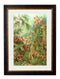 Haeckel Mosses Print - Referenced From Ernst Haeckels Kunstformen der Natur (1904)Vintage Frog T/APictures & Prints