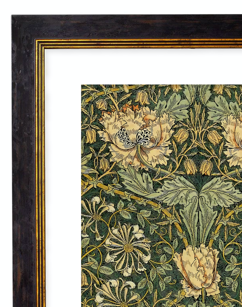 Honeysuckle - William Morris Pattern Artwork Print. Framed Wall Art PictureVintage Frog T/APictures & Prints