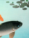 Japanese Koi Carp, Print of Vintage Illustrated Japanese Fish- 1900s Artwork Print. Framed Wall Art PictureVintage Frog T/APictures & Prints