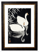 Japanese White Geese, Print of Vintage Illustrated Japanese Birds- 1900s Artwork Print. Framed Wall Art PictureVintage Frog T/APictures & Prints