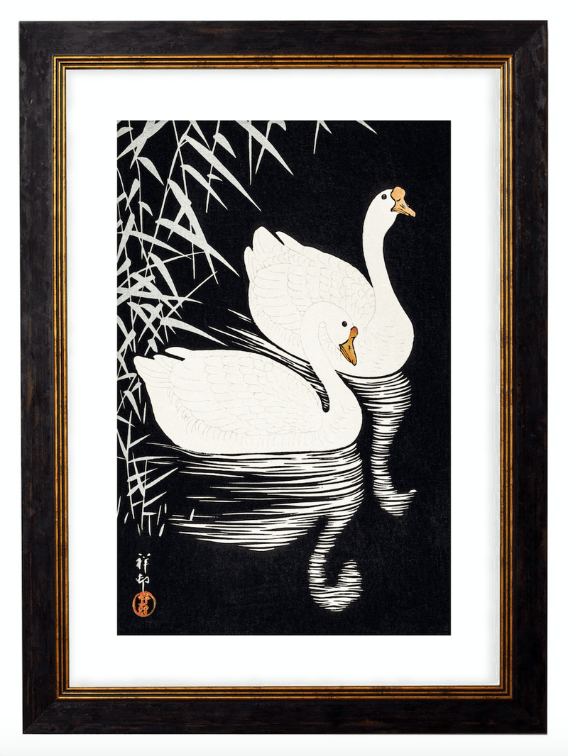 Japanese White Geese, Print of Vintage Illustrated Japanese Birds- 1900s Artwork Print. Framed Wall Art PictureVintage Frog T/APictures & Prints
