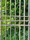Korean Hard Wood Lattice Window Screen Panel, Lovely Wall DecorVintage FrogFurniture