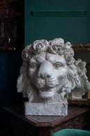 Large Rustic Stone Effect Lion Head Planter VaseVintage FrogBrand New