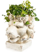 Large Rustic Stone Effect Lion Head Planter VaseVintage Frog M/RBrand New